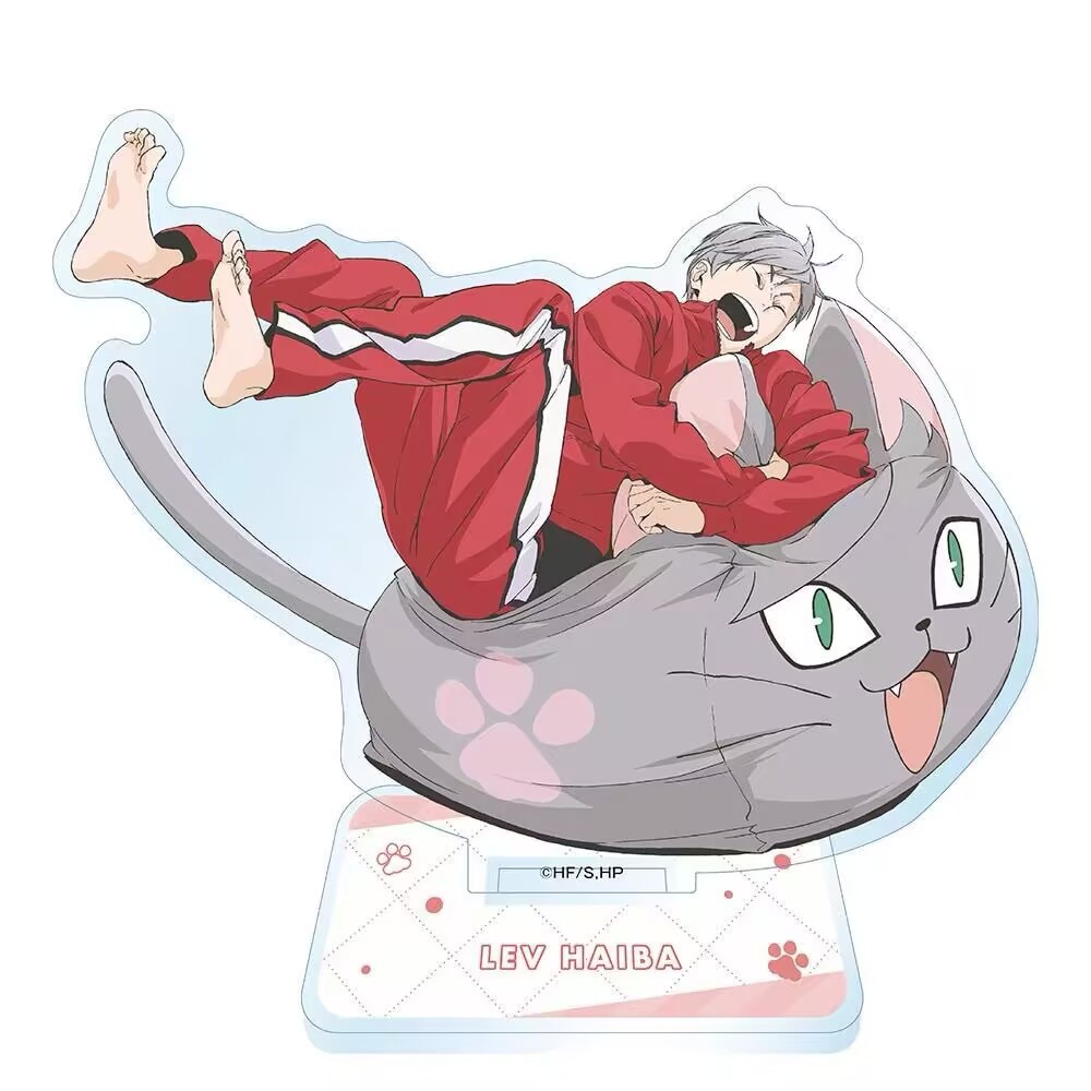 Volleyball Boys Animation Acry - Men'S Volleyball Accessories review and price