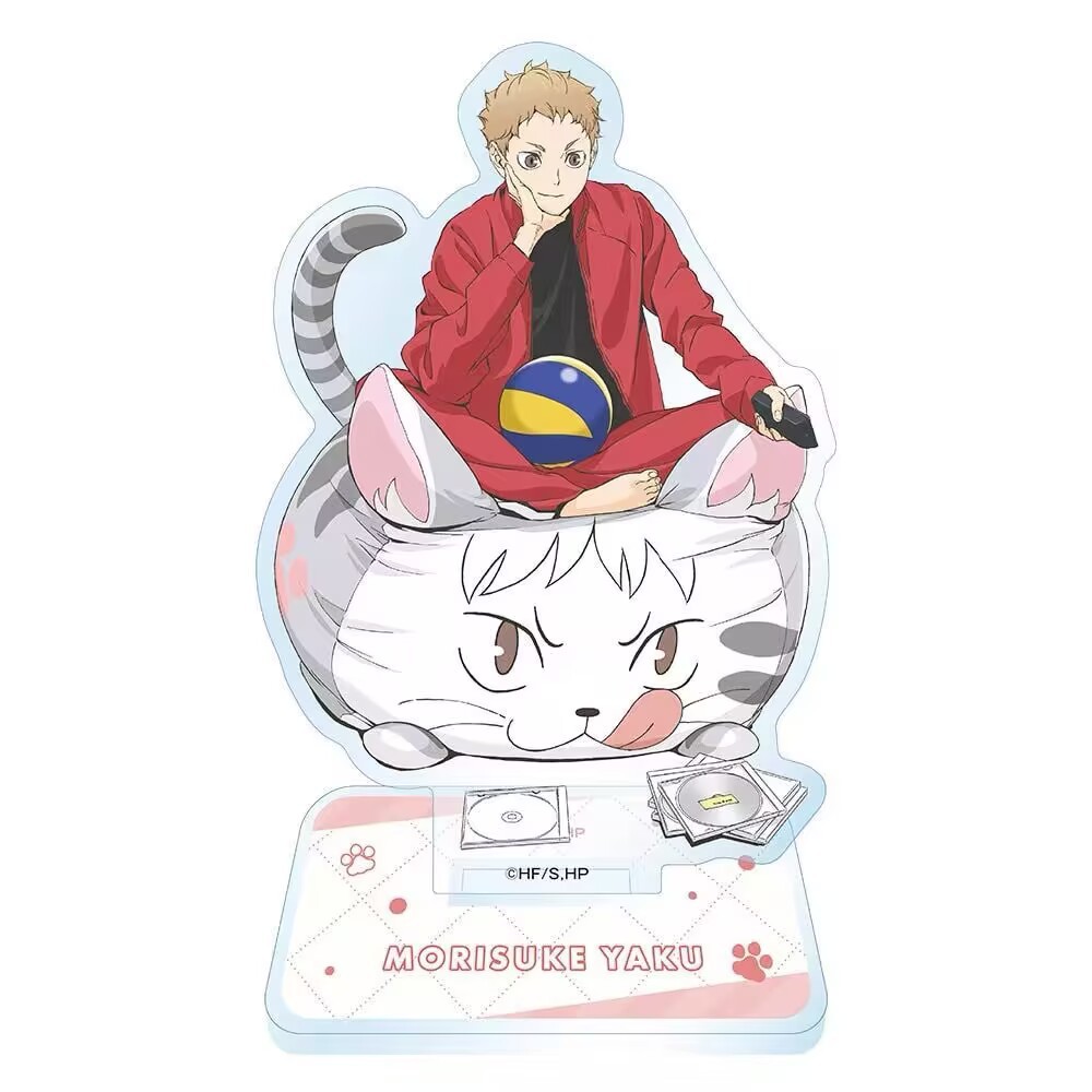 Volleyball Boys Animation Acry - Men'S Volleyball Accessories review and price